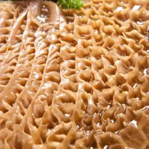 Raw tripe with textured surface close-up.