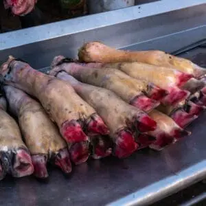 Animal legs on a metal table.