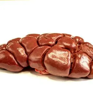 Raw animal kidney on white background.